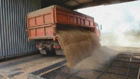 Российские аграрии перевалили за миллион тонн зерна